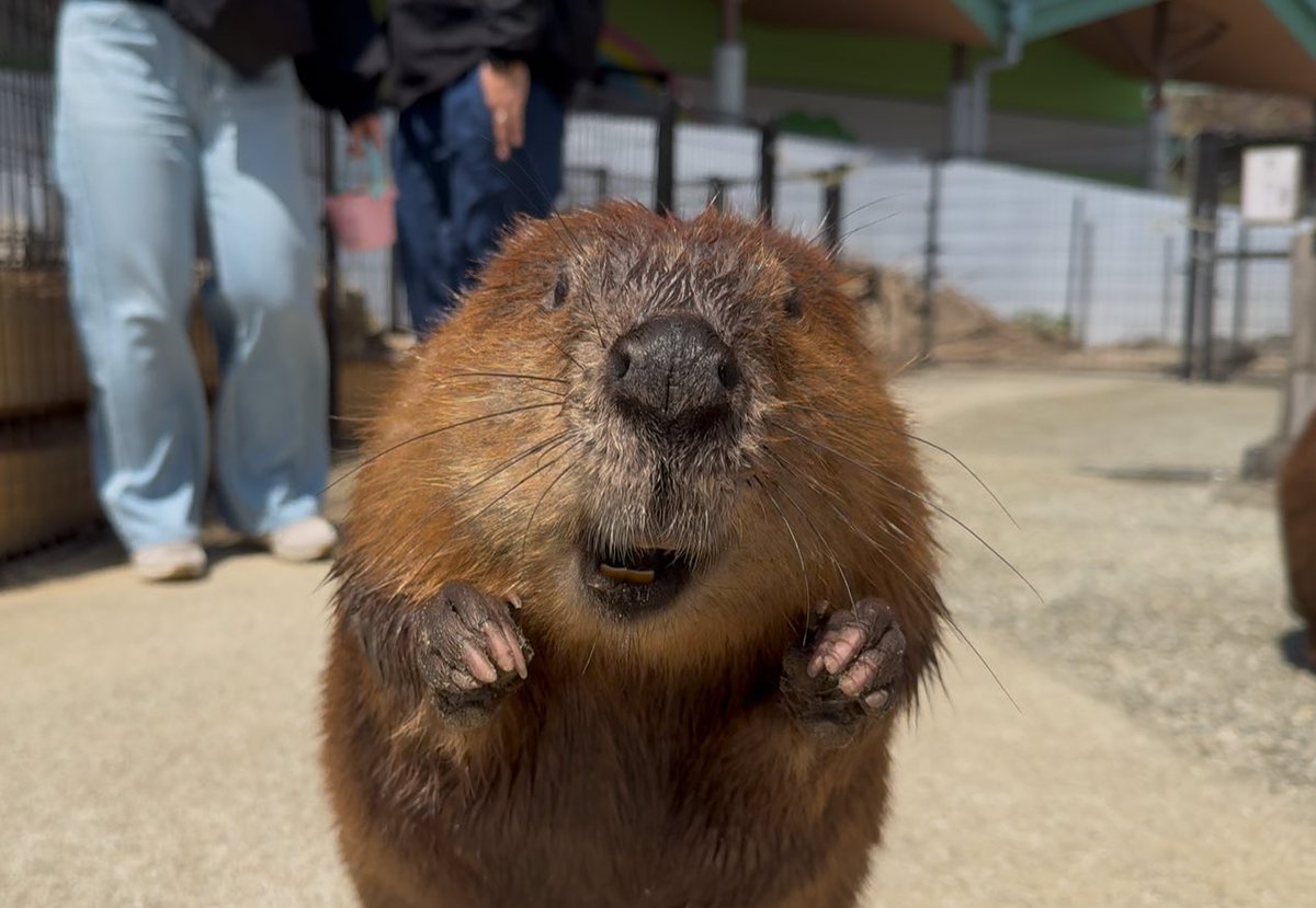 bibami(ビバ美) (@bi__bami) / Posts / X