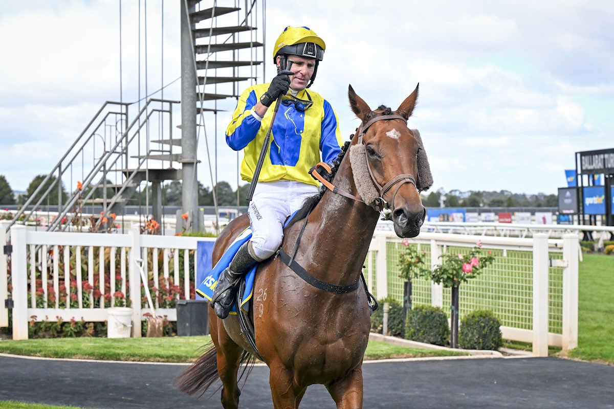 AusJumpsRacing's tweet photo. Great performanes lit up Sunday’s jumps card at Ballarat!

Race 1 – Henry Dwyer Racing Maiden Hurdle
Victory went to Bitcoin, expertly trained and ridden by Steve Pateman. https://t.co/IFGrPySWCG