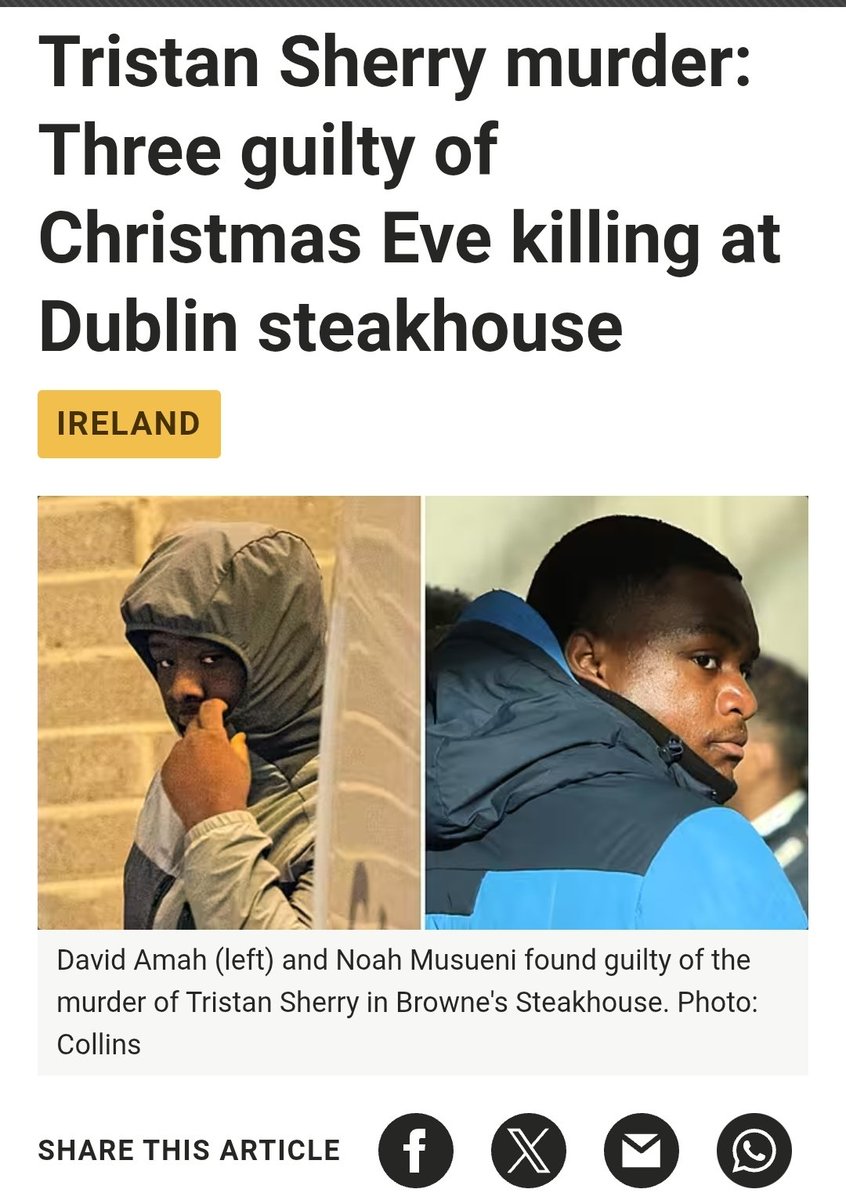 _tigranes_'s tweet photo. @SirCesareBorgia @EndWokeness Ireland has black violence problem too https://t.co/XHiLOm1mvv