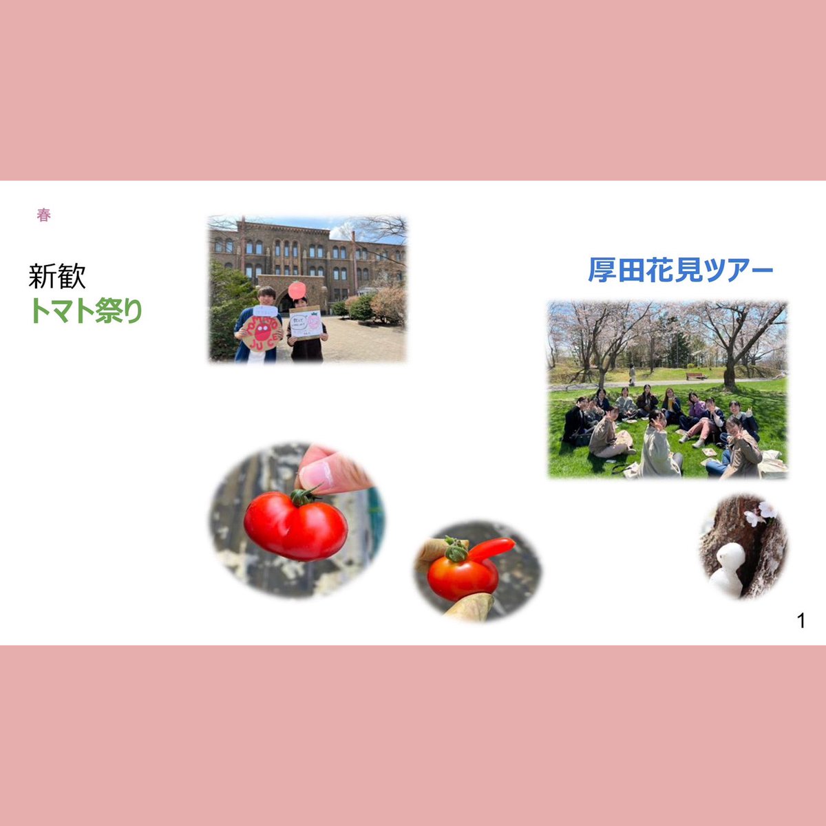 地域土着型サークル”いなかっぺ” tweet media