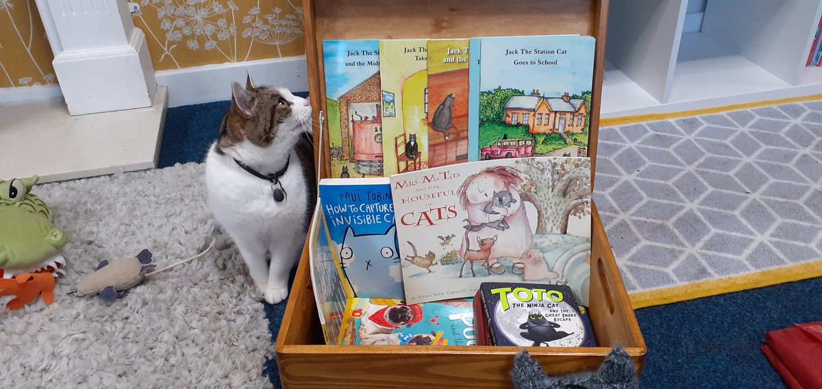 The school library was always one of Cilla’s favourite places, she loved curling up with her little people to hear them reading. She also worked hard to keep the school library well stocked! No wonder our little people love reading so much. 
#catsoftwitter #cats #Hedgewatch