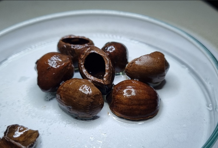 David Stone tweet media