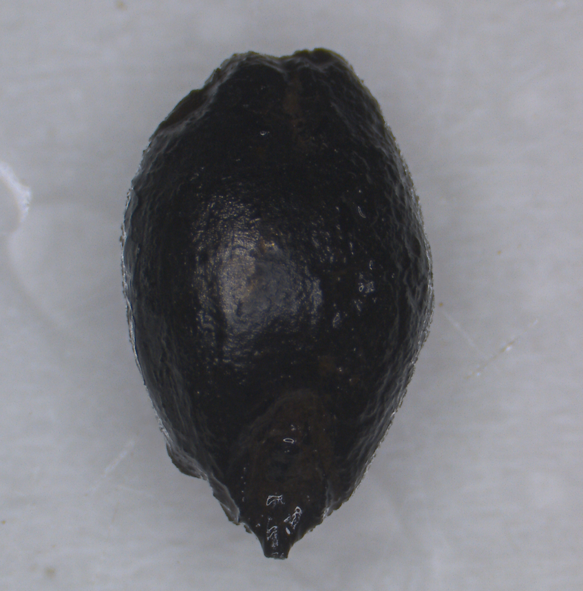 David Stone tweet media