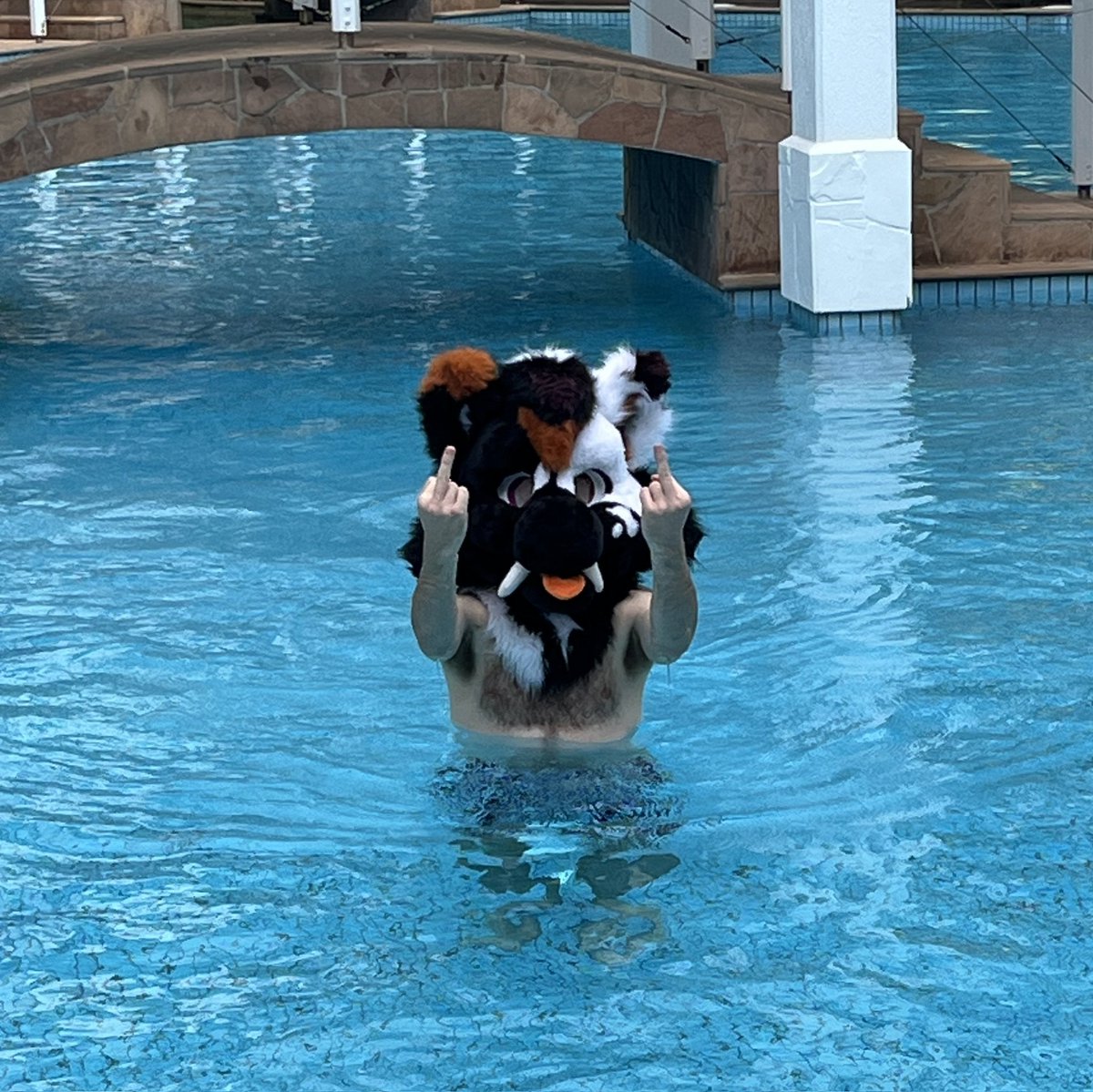 Con Staff: No fursuits in the pool!
Me: