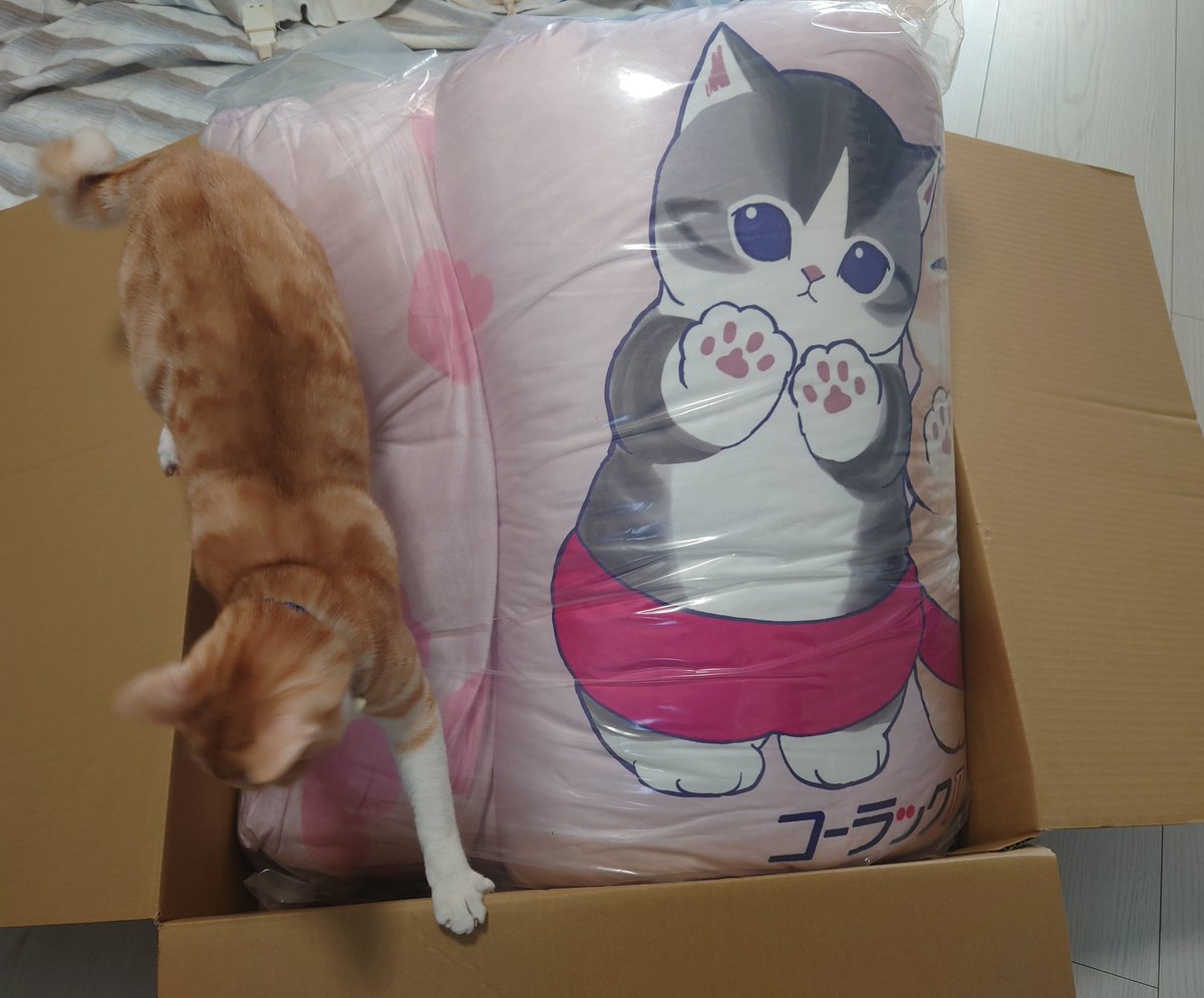 コーラックとmofusandのコラボキャンペーン