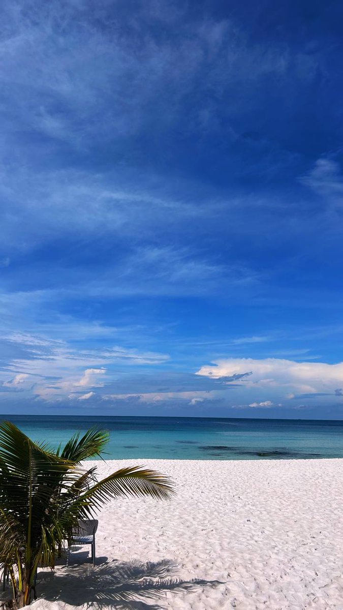 enterdonatello's tweet photo. I didn't have the energy for content   

4 months of silence.. I think it's time to resuscitate this channel 🫣 Sorry for the radio tinker - there were circumstances but now I'm back here with a suitcase of ideas

In the meantime catch my shot - The Island Koh Rong 

#crypto https://t.co/P3EDevOpCw