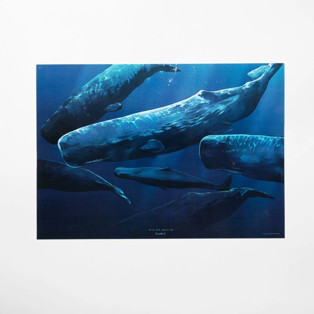 ✨新商品✨ 『マグメル深海水族館』から新グッズ、クリアポストカード