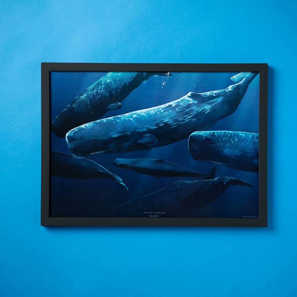 ✨新商品✨ 『マグメル深海水族館』から新グッズ、クリアポストカード