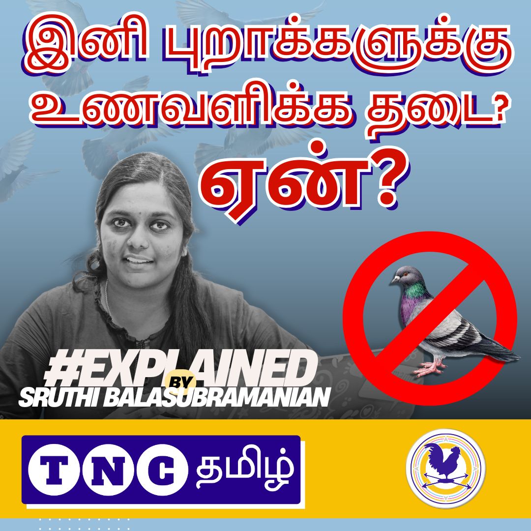 tnctamilnews's tweet image. புறாக்களுக்கு இனி பொது இடங்களில் இரை போட தடை🚫? #Explained by Sruthi Balasubramanian

#flyingrat #pegion #lunginfection #pegionfeeding #TNCTamil #TheNewsCircle #TNCTamilNews

YouTube: youtu.be/4v1-rtca8b0