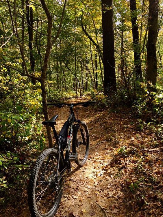 Hiking clears the mind like nothing else. 🍃🧠
