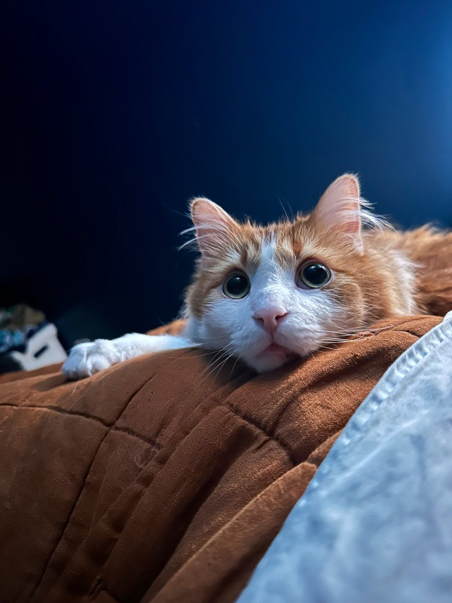 mine momb leaved me for sephen (8 ) day to get maryed in Lots baygus  does innie one know an good lawer