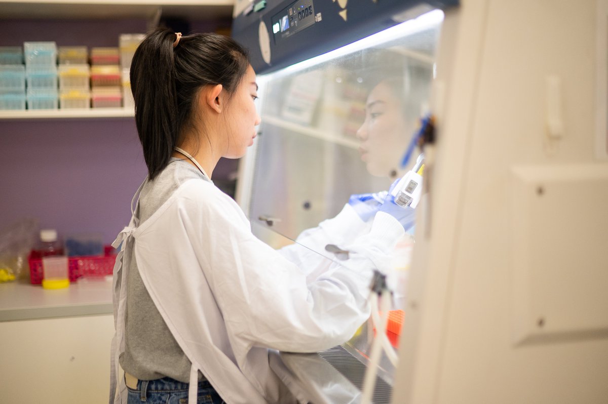 The Novo Nordisk Foundation Center for Stem Cell Medicine <a href="/reNEW_Global/">reNEW</a>, led by MCRI Chief Scientist Prof Melissa Little, has released its 2024 annual report. To view the report visit mcri.edu.au/news-stories/r…
<a href="/LUMC_Leiden/">LUMC Leiden</a> <a href="/UCPH_Research/">University of Copenhagen Research</a> #MedicalResearch #StemCells