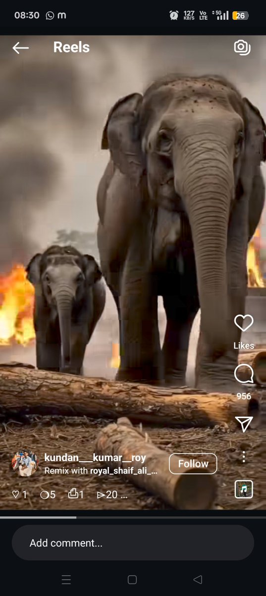 सिर्फ एक हाथ का ही नहीं बल्कि उन सभी हाथों का गुनाह शामिल है इस विनाश में जिसने हाथ पर बटन दबाया,तड़पती हाथियों की चिखे जलते जानवरों की लाशें रोते जंगल के राजा की तस्वीरे तुम्हे भी कोसेगी। <a href="/RahulGandhi/">Rahul Gandhi</a> <a href="/INCIndia/">Congress</a> आपकी खामोशी भी गुनाह ही है <a href="/narendramodi/">Narendra Modi</a> <a href="/AmitShah/">Amit Shah</a> <a href="/HemantSorenJMM/">Hemant Soren</a>