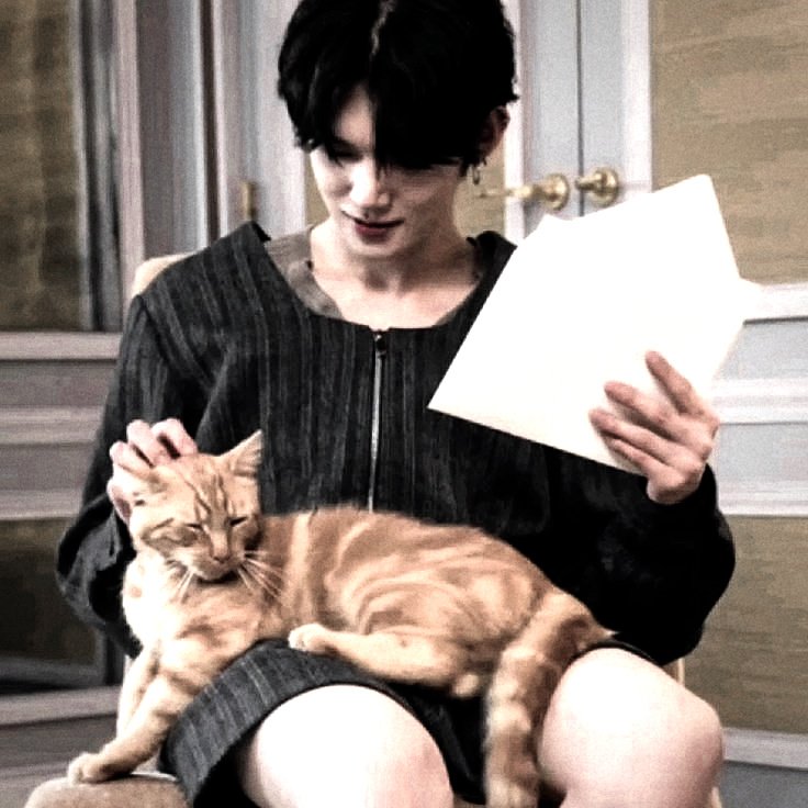 ㅤ
𓄹𓈒 ˖ today's log ─ 006 𖦹
⋆  seoul  ,  south  korea

&amp;&amp;.  good day .ᐟ i  just got busy treating patients &amp; have been travelling back and forth to the zoo , checking their health. tho ,  look at this cutie trying to distract me while i read this letter .ᐟ
ㅤ