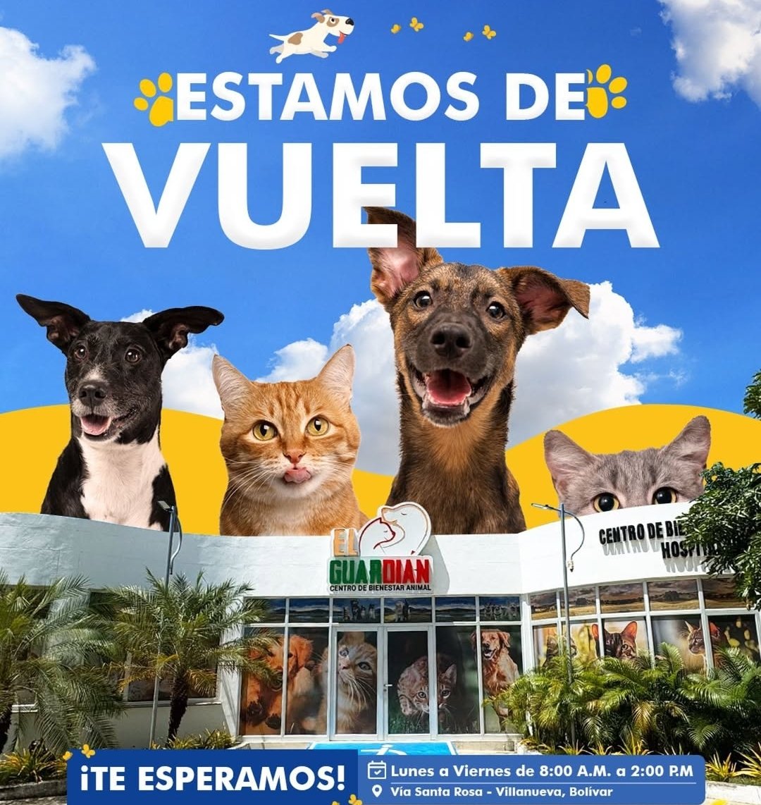 A través de la 'Operación Esperanza', una decisión de Gobierno coordinada y adoptada de manera interinstitucional, en cumplimiento de la política Distrital de bienestar y protección animal, con <a href="/umataCTG/">umatacartagena</a> vamos a reubicar los 200 gaticos que están hacinados en los bajos del puente
