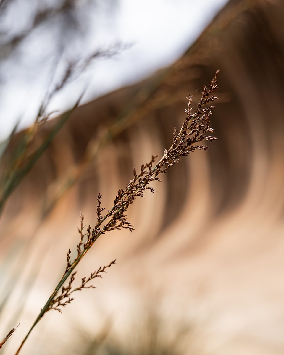 gointerstate's tweet image. Wave Rock near the Wheatbelt town of Hyden, is one of Australia’s most recognisable landforms. 🌊⁠

 It’s believed this amazing formation was more than 2,700 million years in the making.⁠
⁠
gointerstate.com.au