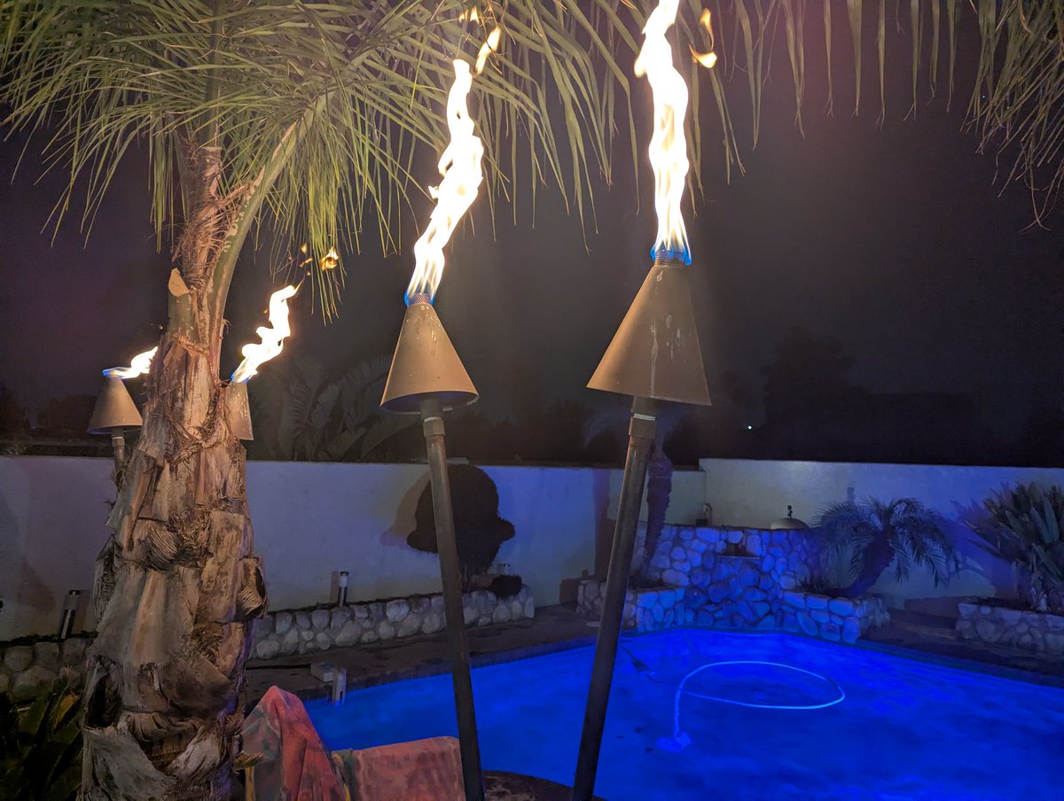 Gene Rapisardi tweet media