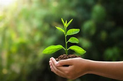 Leave10SS's tweet photo. 🌸 Happy Spring from Leave 10 South Sound!

Now’s the time to plant seeds 🌱—not just in gardens, but for future impact through planned giving + legacy commitments.
🔗 Newsletter: https://t.co/VXVILWJifo
🙌 Be a changemaker: https://t.co/tyN1RWxgwv
#PlannedGiving #Legacy #Leave10 https://t.co/UELolYPatI