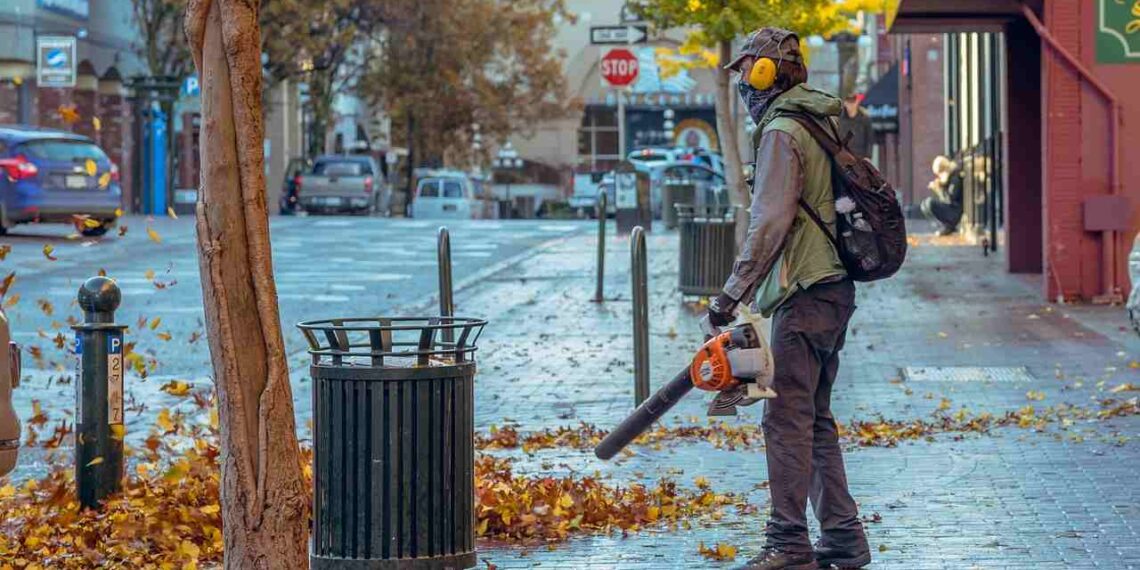 TheTechHeadline's tweet photo. Leaf Blowers Are Smarter Than You Think: What Tech Has Done to a Basic Yard Tool
https://t.co/4ChpxsUqve
#LeafBlower #YardTool #Smartmotors #Cleanerstorage https://t.co/utkVMtScl3