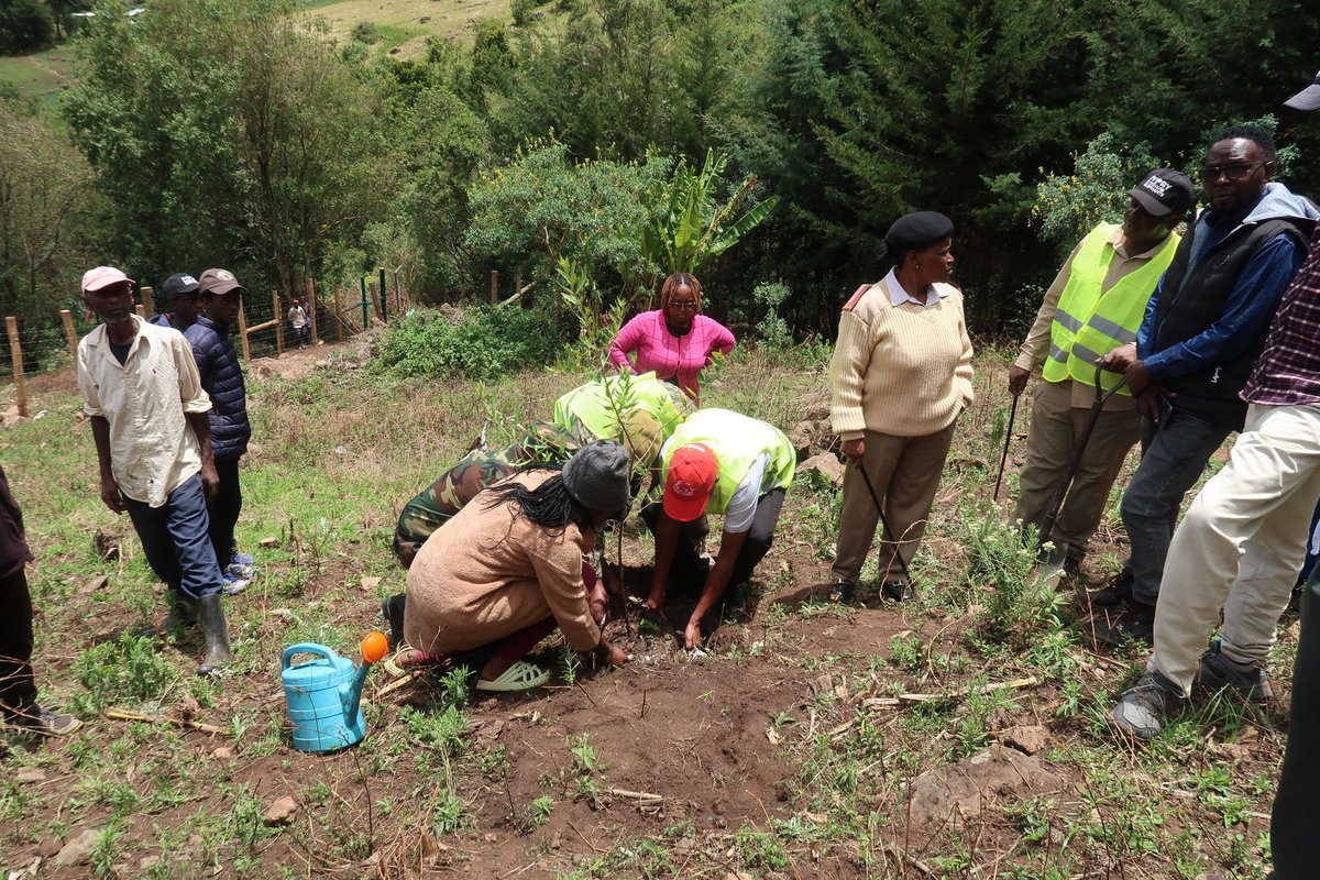 Rhino Ark (@rhinoark) on Twitter photo On 31 Mar 2025, the final post of the 10km Wanjohi–Shamata conservation fence was placed—marking a major step in preventing human-wildlife conflict. A proud <a href="/UKBCFs/">Biodiversity Challenge Funds</a> / <a href="/KWSKenya/">Kenya Wildlife Service</a> / <a href="/KeForestService/">Kenya Forest Service</a> / Rhino Ark partnership milestone!
#RhinoArkPartnerships #WildlifeFences On 31 Mar 2025, the final post of the 10km Wanjohi–Shamata conservation fence was placed—marking a major step in preventing human-wildlife conflict. A proud <a href="/UKBCFs/">Biodiversity Challenge Funds</a> / <a href="/KWSKenya/">Kenya Wildlife Service</a> / <a href="/KeForestService/">Kenya Forest Service</a> / Rhino Ark partnership milestone!
#RhinoArkPartnerships #WildlifeFences