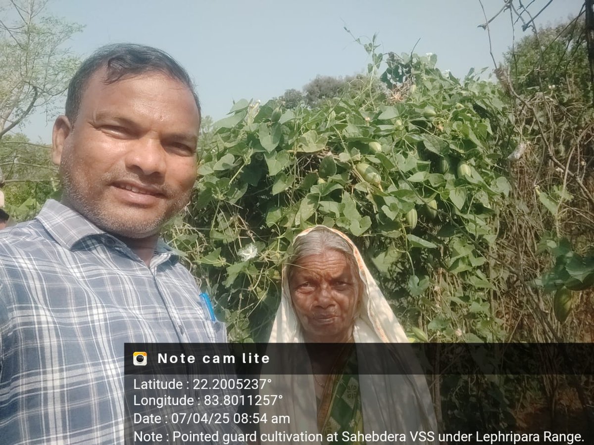 DfoSundargarh's tweet image. Various Livelihood activities initiated through Odisha Forestry Sector Development Program (OFSDP-II) by Sundargarh forest division staff.
Predominantly tribal forest fringe areas are targeted. They are getting a viable and year long income, apart from their agriculture .
#OFSDP