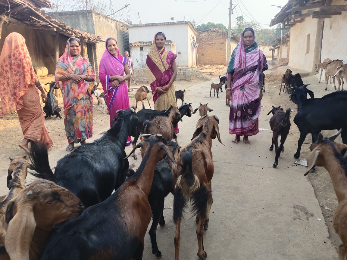 DfoSundargarh's tweet image. Various Livelihood activities initiated through Odisha Forestry Sector Development Program (OFSDP-II) by Sundargarh forest division staff.
Predominantly tribal forest fringe areas are targeted. They are getting a viable and year long income, apart from their agriculture .
#OFSDP