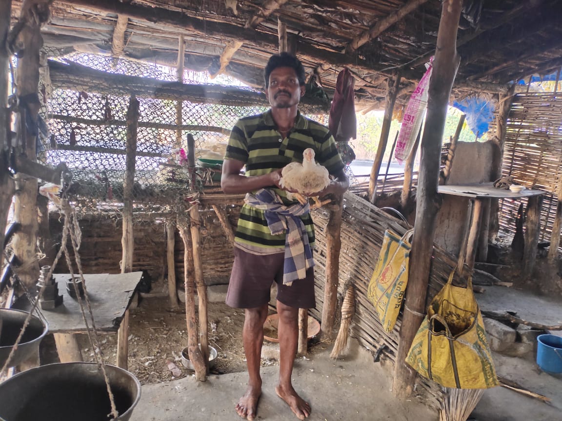 DfoSundargarh's tweet image. Various Livelihood activities initiated through Odisha Forestry Sector Development Program (OFSDP-II) by Sundargarh forest division staff.
Predominantly tribal forest fringe areas are targeted. They are getting a viable and year long income, apart from their agriculture .
#OFSDP