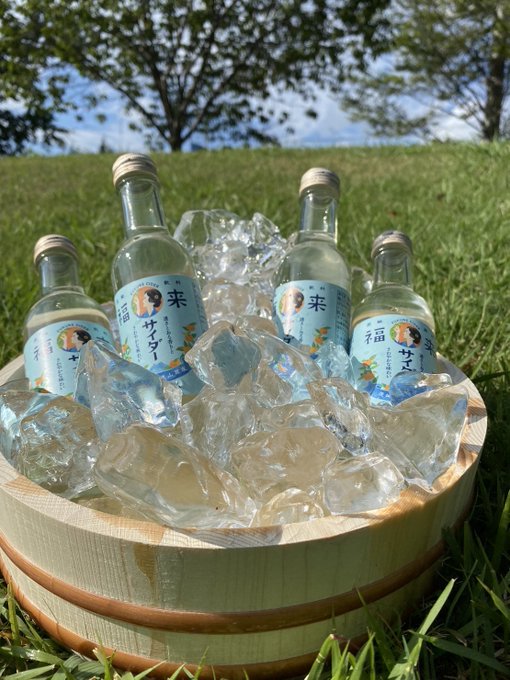 新入生の皆さん、ご入学おめでとうございます！
茨城炭酸部は 
地域の特産である福来みかんを使ったサイダーを 
収穫から販売まで手掛けている団体です！ 
月1で第3土曜日にて阿見町の霞ケ浦平和記念公園で
イベントも開催しています！
興味がある方は是非DMお願いします！

#春から茨大 #茨城大学