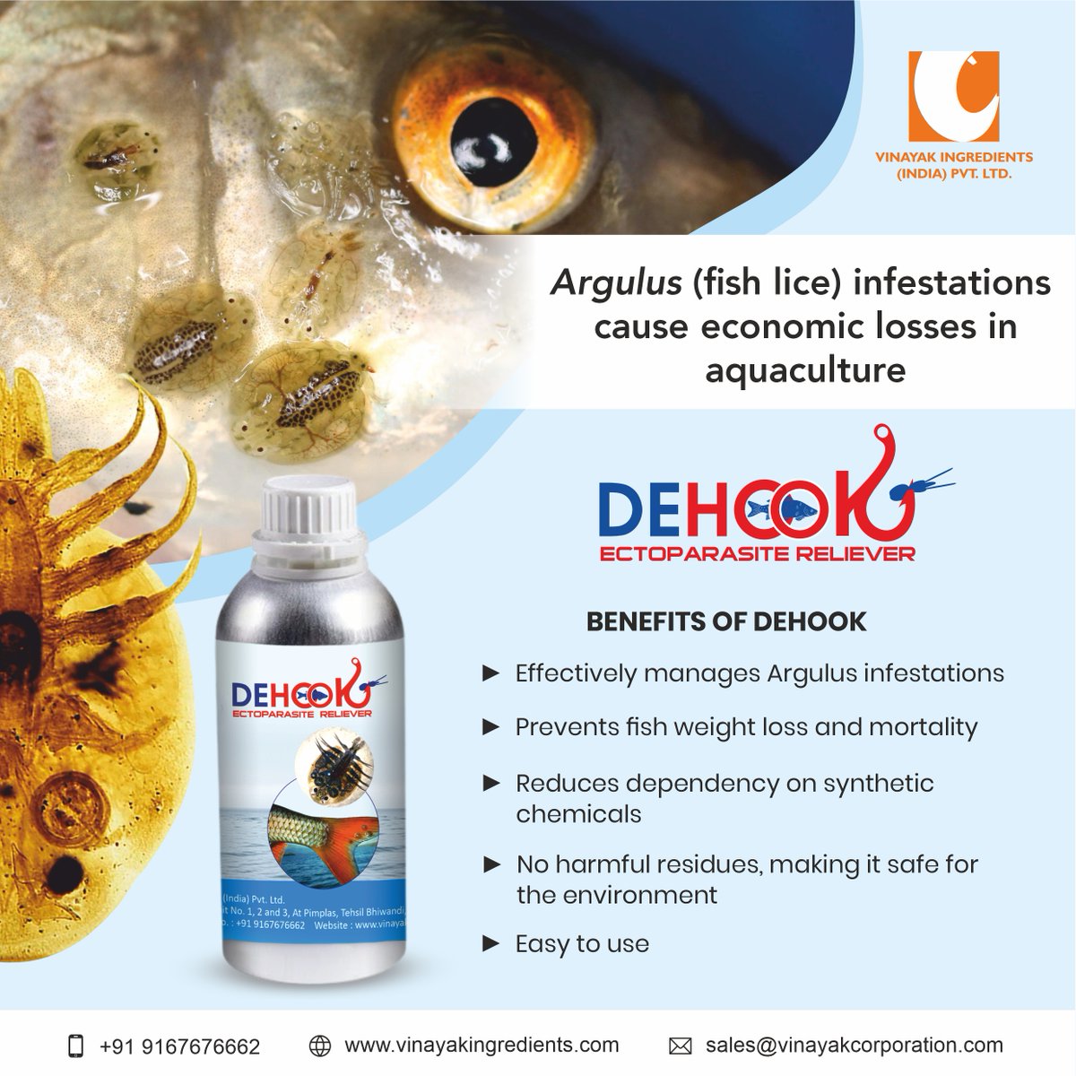 VinayakCorp's tweet image. 🐟 Fight Argulus the natural way with DEHOOK!

✅ Controls fish lice
✅ Prevents weight loss &amp;amp; mortality
✅ No residues

🌿 Safe. Effective. Herbal

vinayakingredients.com | +91 9167676662| sales@vinayakcorporation.com
#naturaladditives #feed #animalhealth #aquaculture #fishlice