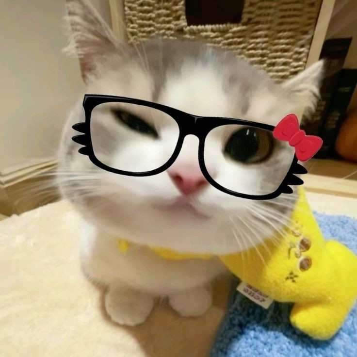 ⋅☾∘∙⊱⋅☼ᴘʀᴇᴛᴛʏ ʙᴜɴɴʏ ☼⋅⊰∙∘☽ tweet media
