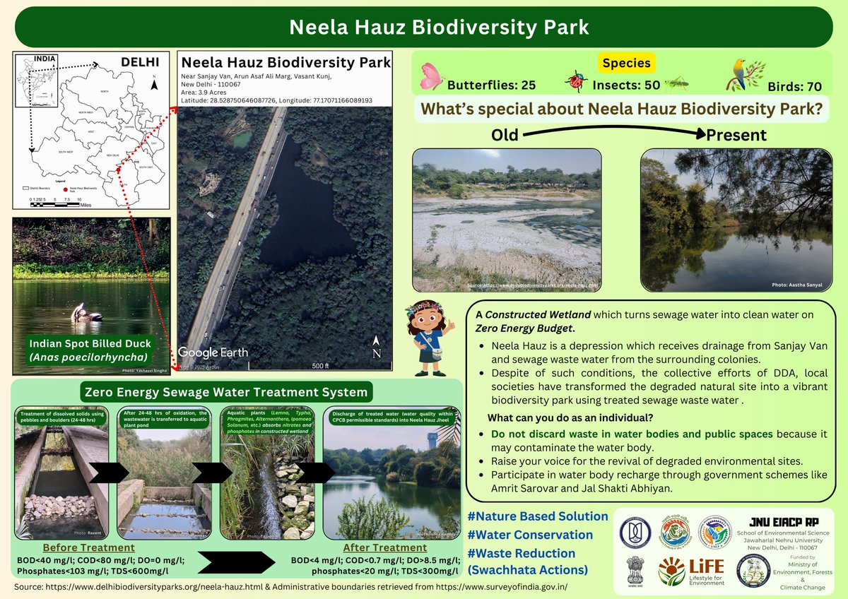 🌿 Neela Hauz: A Wetland Reborn! 💧