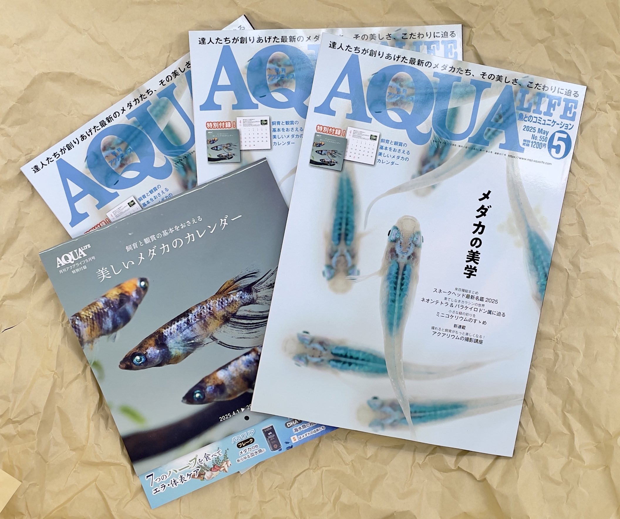 月刊アクアライフ編集部 (@AQUALIFE_MPJ) / X