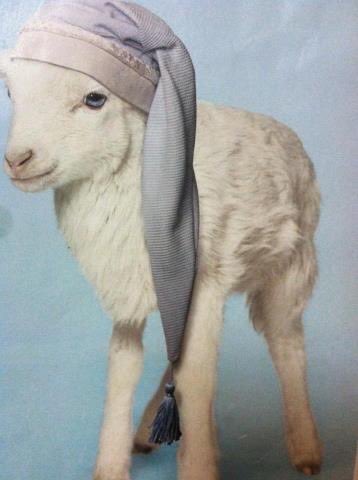 Woke up from a 5 hour nap and I am still exhausted and miserable and heartbroken