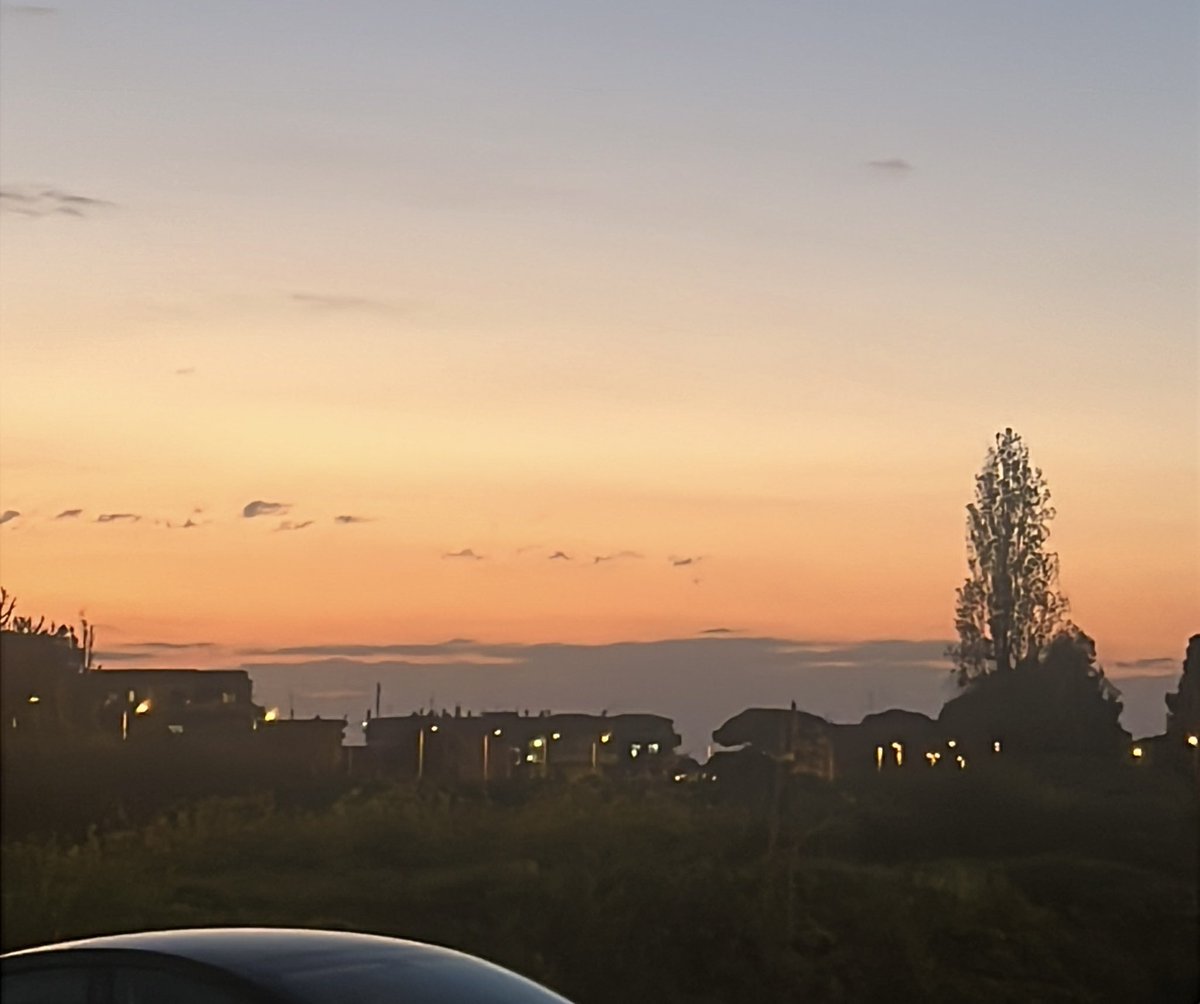 Can i get a quick GM? ☀️