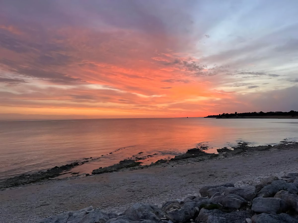 🖤 Roxy 🖤 tweet media