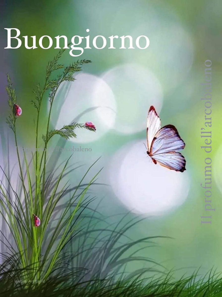 Marianna tweet media