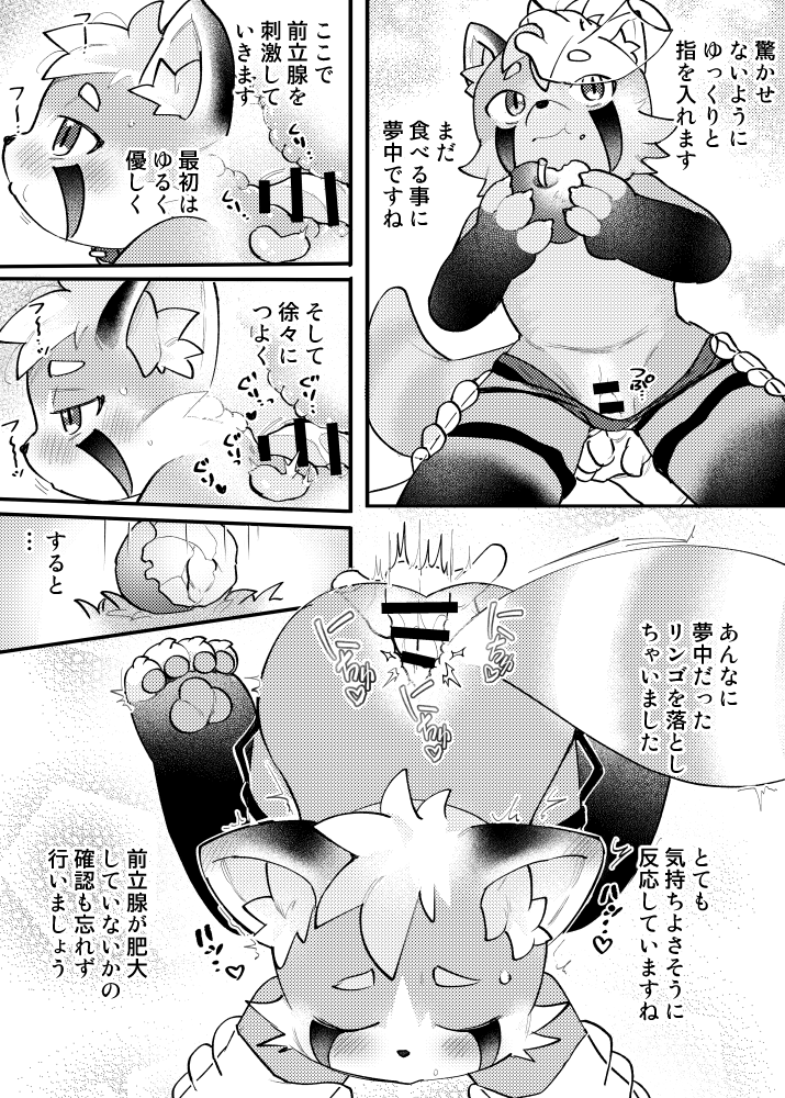 oomikamimimiko's tweet photo. skebありがとうございました！オス　レッサーパンダの身体検査　1/2 https://t.co/8YrdU4I1XC
