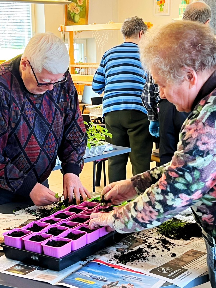 foibekartano's tweet photo. Puutarhan ystävissä oli vuorossa taimien kouliminen. #Foibekartano #HyvänElämänYhteisö #PuutarhanYsätävät #GreenCare https://t.co/e0sJqEt5qx