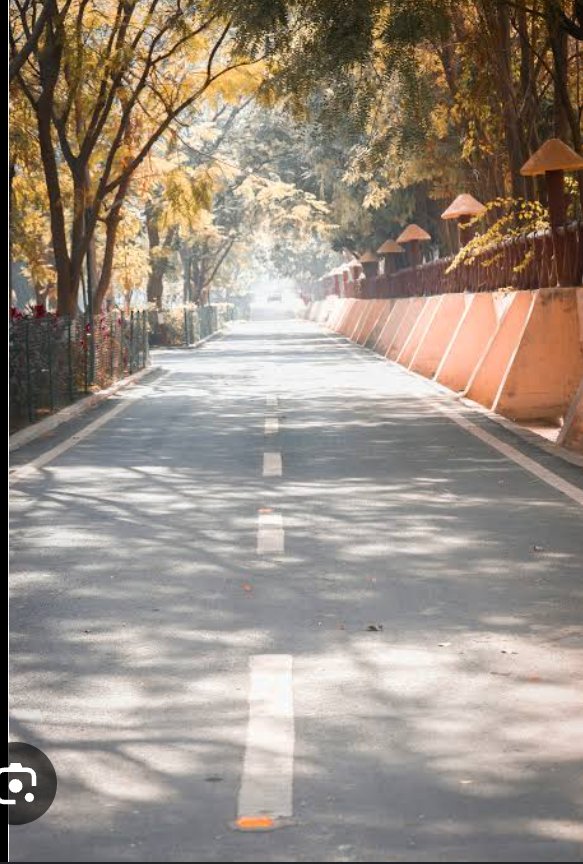 king_MetaX's tweet image. GM Gm 
Web3 will teach you so many things such as 
✅Patience
✅Risk management
✅Trustlessness
✅Tolerance
✅Emotional discipline 
   The journey may be lonely and boring at first #newbies but trust the process, it will certainly payoff #solanachiefpreast