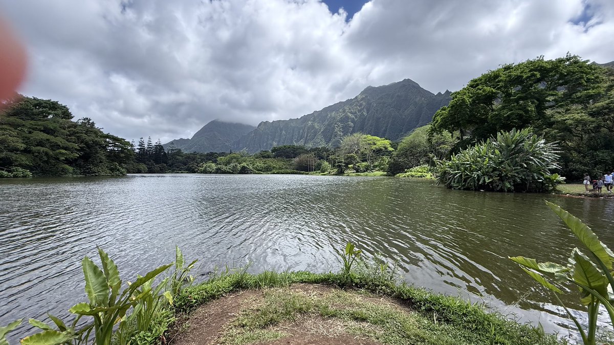 An amazing view at Ho’omaluhia Botanical Garden nature at its finest. The lush landscape and dramatic mountain backdrop took our breath away. A peaceful paradise hidden on Oʻahu. 🌴🌴🌴📸❤️⛰️ #hawaii #oahu #hoomaluhiabotanicalgarden #honolulu #kaneohe