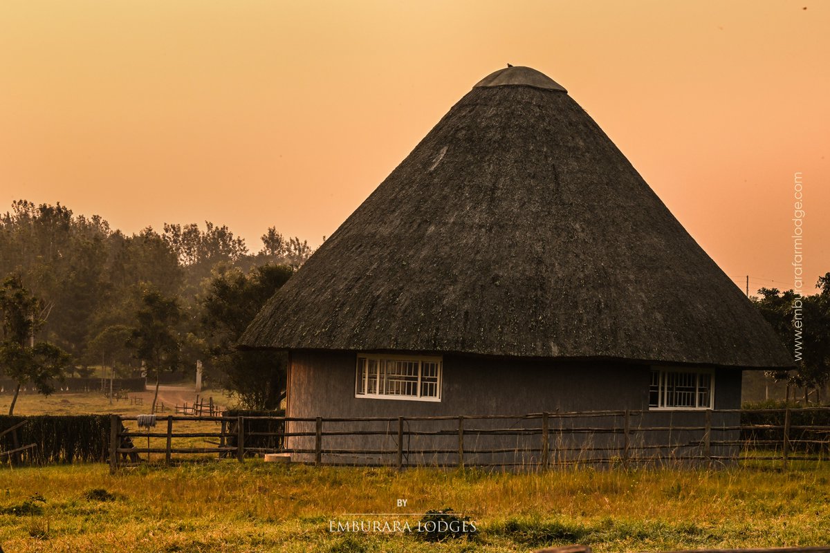 emburara's tweet image. Mornings on the farm are magical, waking up to the cool breeze, connecting with nature, and enjoying the view of the sunrise! How mind refreshing!

#beautifulview #beautyofnature #coolbreeze 
#sunrise #culturaltourism #lifeonthefarm
#emburaralodges #mbararacity