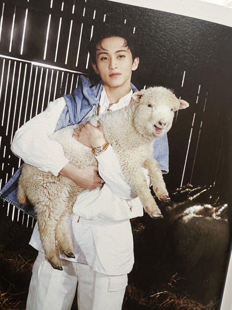 mypage's tweet photo. THE SHEEPPPP https://t.co/RPsClWXQL6