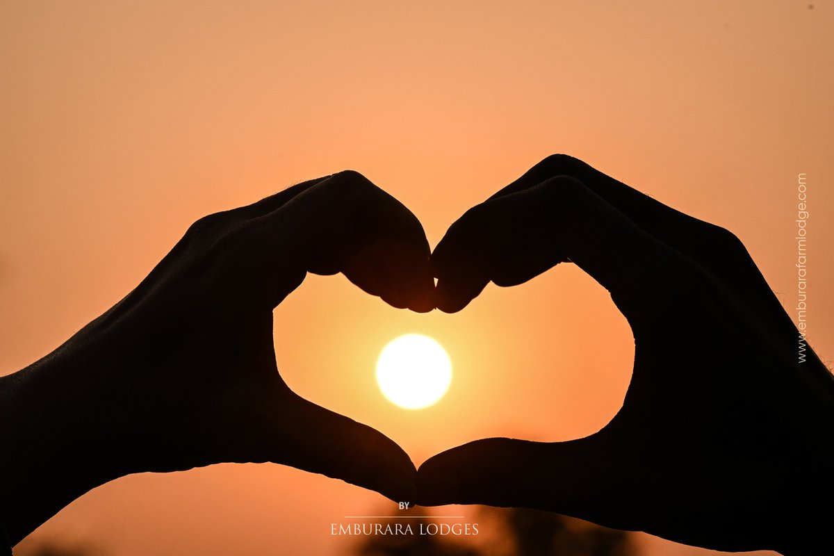 emburara's tweet image. Mornings on the farm are magical, waking up to the cool breeze, connecting with nature, and enjoying the view of the sunrise! How mind refreshing!

#beautifulview #beautyofnature #coolbreeze 
#sunrise #culturaltourism #lifeonthefarm
#emburaralodges #mbararacity