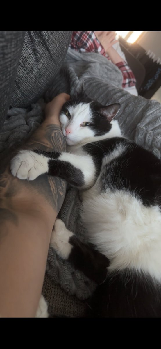 Mul on vahva epäilys että Muro on jotain vailla..