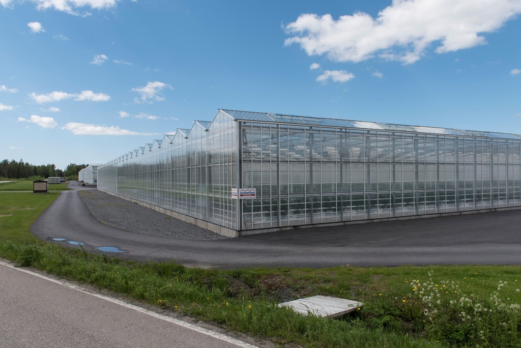 Hukkalämpö odottaa ottajaa – kasvihuoneet voivat olla osa ratkaisua 🌿

Suomeen suunnitellaan kilpaa datakeskuksia. Tämä kehitys on luonut valtavia hukkalämmön lähteitä. Voiko kasvihuoneviljely olla yksi käyttökohde hukkalämmölle?

Lue lisää sivuiltamme: kauppapuutarhaliitto.fi/hukkalampo-odo…