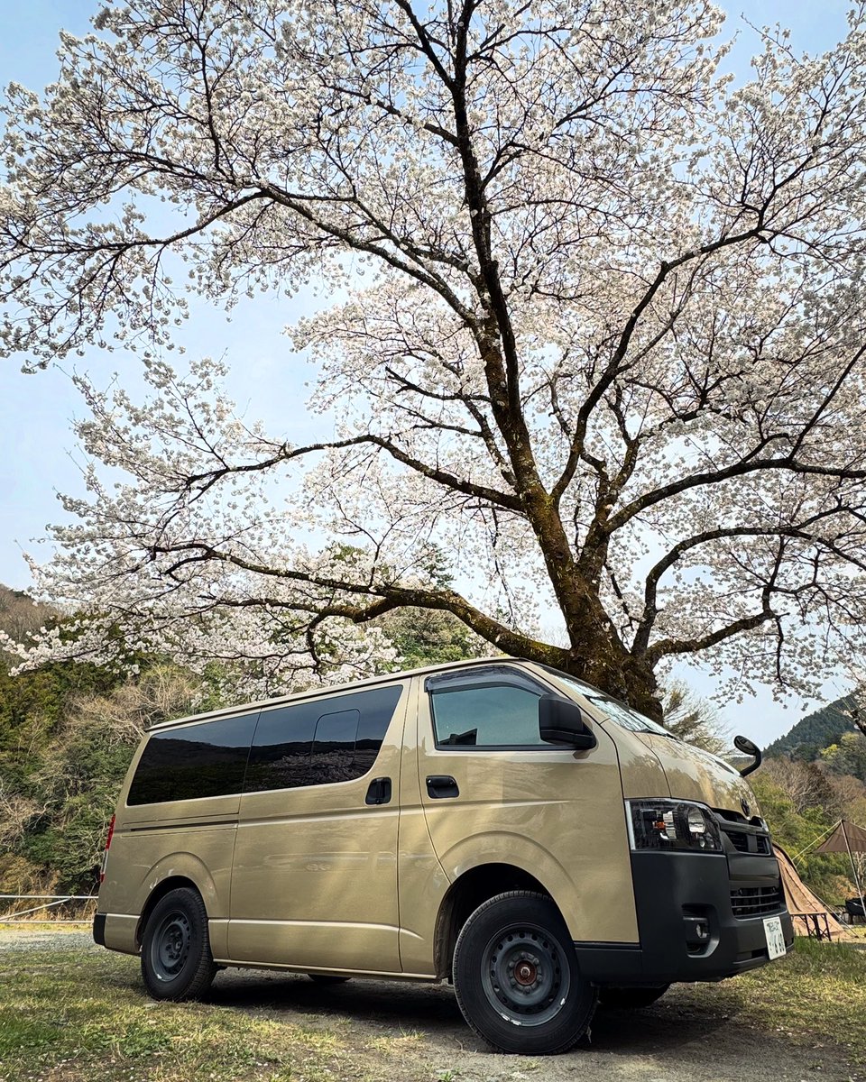 chibi660's tweet photo. 🌸SAKURA🚐ちびACE✨

#スポーツカーならもっと映えるレーシング https://t.co/BiZA01amqP