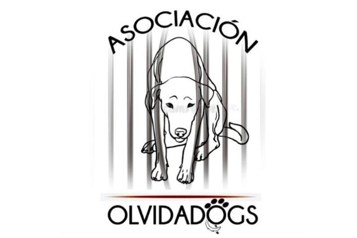 ‘Olvidadogs’, la asociación malagueña que rescata a los perros olvidados por todos y solo acoge a animales que llevan más de tres años en la perrera, o en otra asociación, sin que nadie quiera adoptarlos
revistaelobservador.com/opinion/50-red…