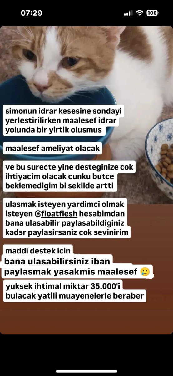 vinruicc's tweet image. arkadaşlar çok acil Rt’lerseniz çok iyi olur ❤️