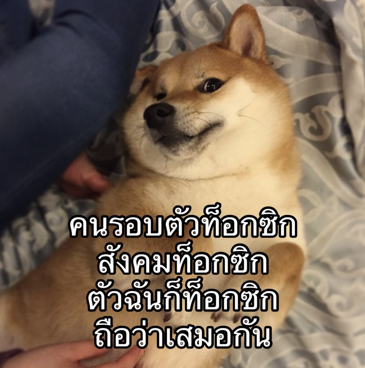 เหมือนไหพิษ จับแมงป่อง ตะขาบ งู แมงมุมมาอยู่รวมกัน ตัวไหนซุปเปอร์ท็อกซิกสุดตัวนั้นรอด