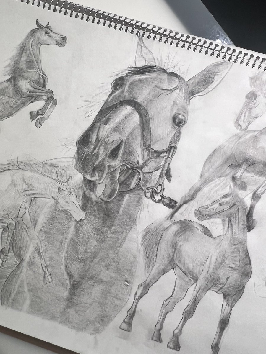 ハチ🐝 (@hachi02255) on Twitter photo 